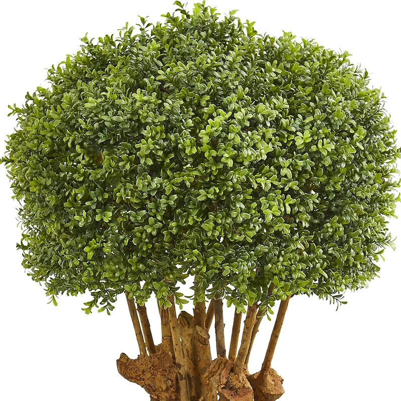 3.5ft. Boxwood Topiary Tree in White Planter
