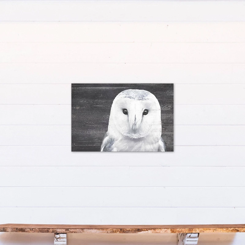 Slate Barn Owl 20" x 30" Canvas Wall Art