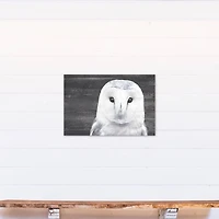 Slate Barn Owl 20" x 30" Canvas Wall Art