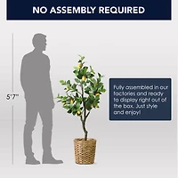 American Art Decor 4ft. Lemon Tree in Water Hyacinth Woven Basket