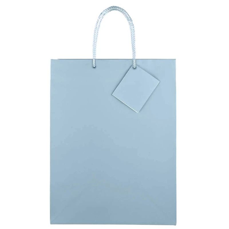 JAM Paper Large Glossy Gift Bags