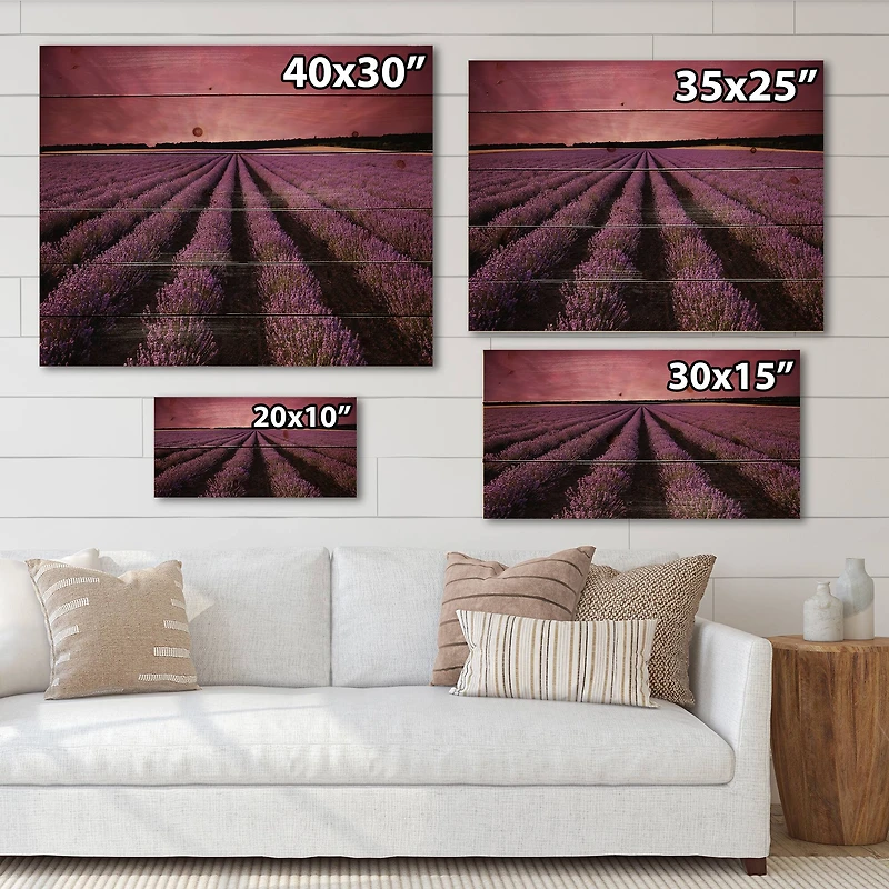 Designart - Sunrise & Dramatic Clouds Over Lavender Field XI