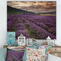 Designart - Lavender Field At Dawn I