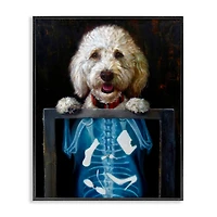 Stupell Industries Funny Dog X-Ray Snacks Framed Giclee Art
