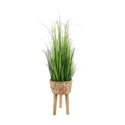 Flora Bunda® 3.5ft. Onion Grass in Basket Planter on Wood Stand