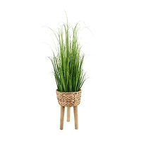 Flora Bunda® 3.5ft. Onion Grass in Basket Planter on Wood Stand