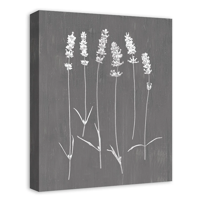 Pressed Lavender On Gray Canvas Wall Art