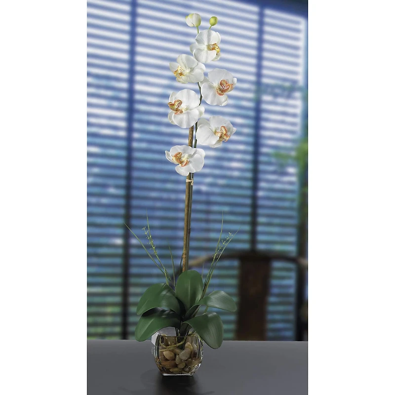 2.3ft. Cream Orchid Arrangement with Vase