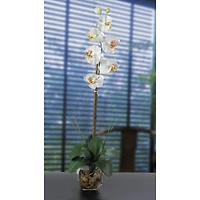 2.3ft. Cream Orchid Arrangement with Vase