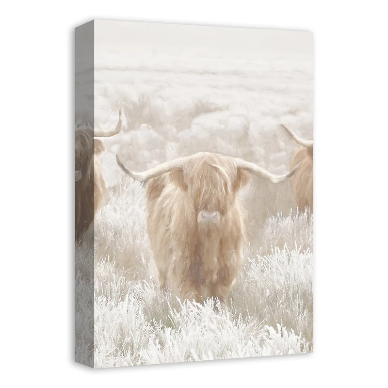 Light and Creamy Highland Canvas Wall Art