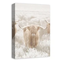 Light and Creamy Highland Canvas Wall Art
