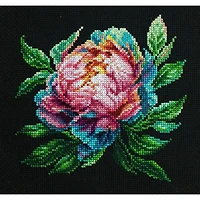 Luca-S Abalone Pearl Peony Counted Cross Stitch Kit with Display Hoop