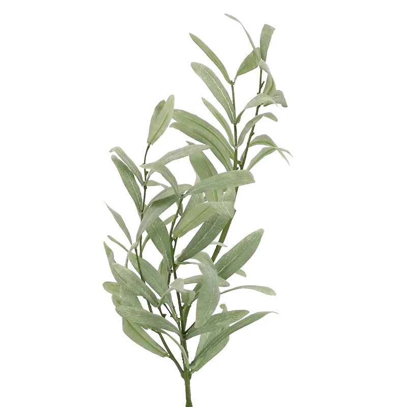 Green Olive Branch Stem by Ashland®