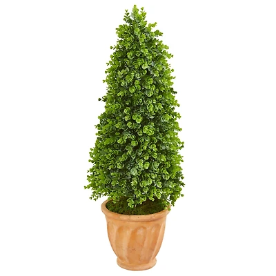 3.5ft. Eucalyptus Cone Topiary in Terra Cotta Planter