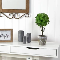 15" Potted Eucalyptus Topiary Tree