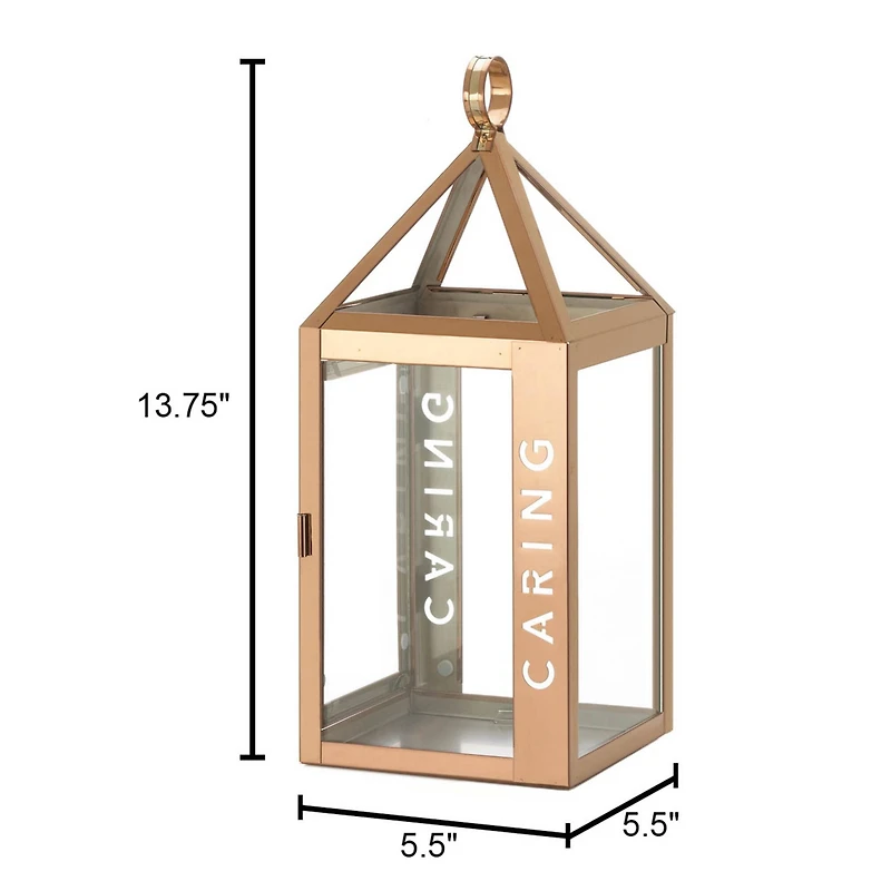 13.75" Rose Metal Frame Caring Lantern