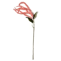 12 Pack: Pink & Cream Amaranthus Stem by Ashland®