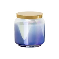 12oz. Gold Lid Scented Jar Candle by Ashland