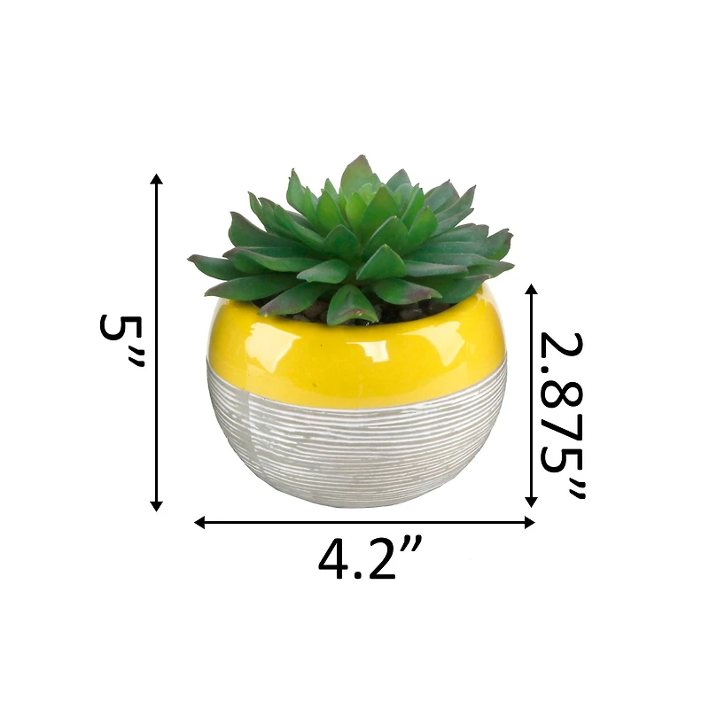 Flora Bunda® Succulent In Two Tone Pattern Yellow Ceramic Pot