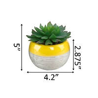 Flora Bunda® Succulent In Two Tone Pattern Yellow Ceramic Pot