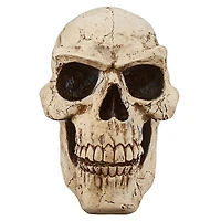 Design Toscano Sinister Simon Giant Skull Sculpture