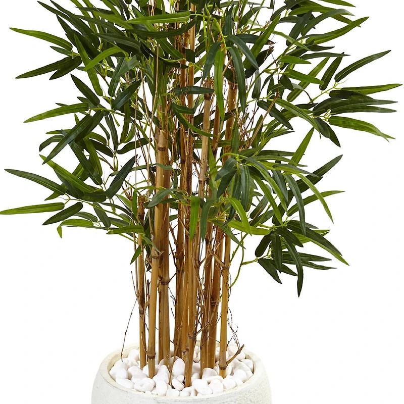 4ft. Bamboo Tree in White Oval Planter