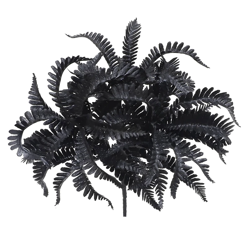 9.5" Black Fern Pick by Ashland®
