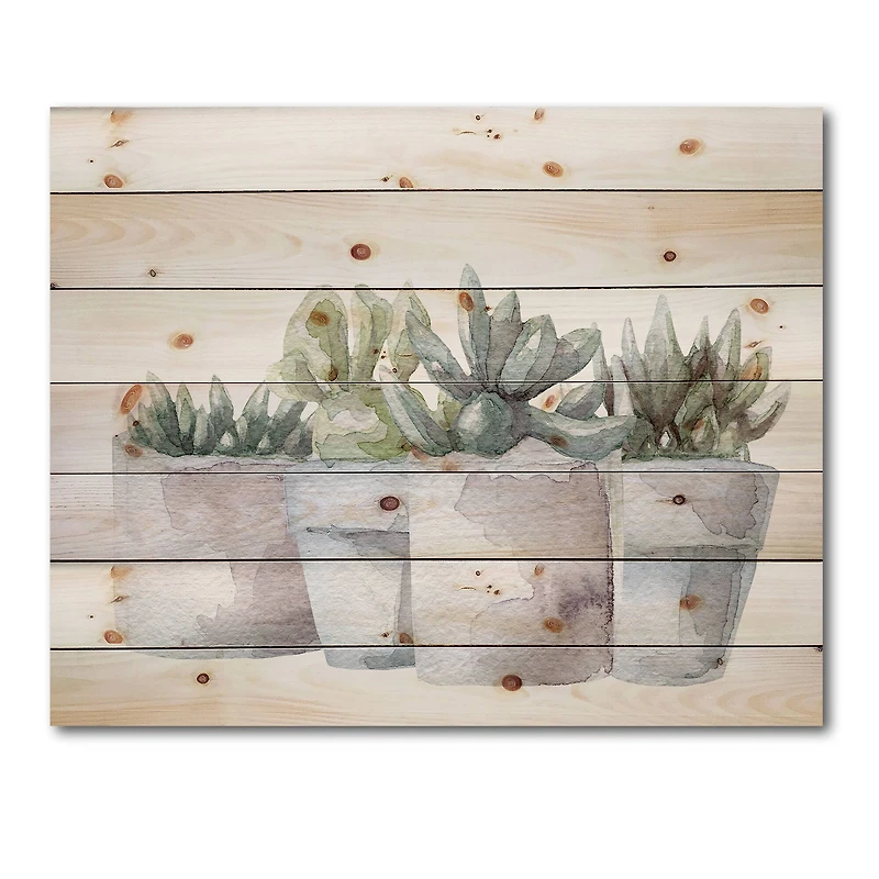Designart - Cactus and Succulent House Plants III