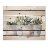 Designart - Cactus and Succulent House Plants III