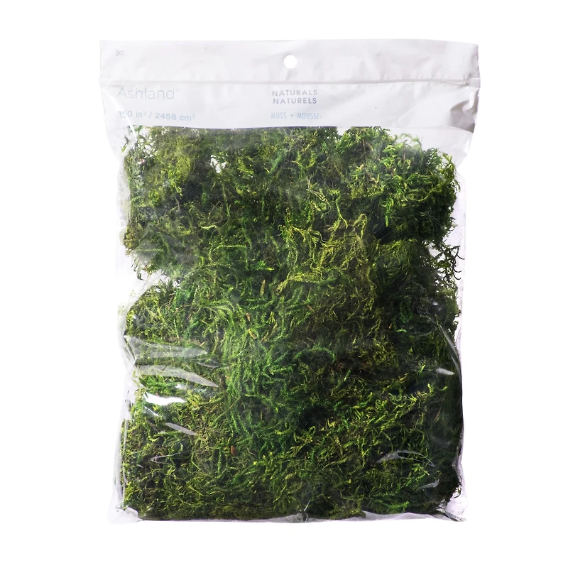 Preserved Forest Moss by Ashland®