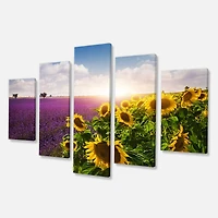 Designart - Lavender and Sunflower Fields - Large Floral Canvas Art Print