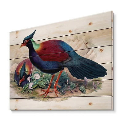 Designart - Vintage Birds In The Wild II