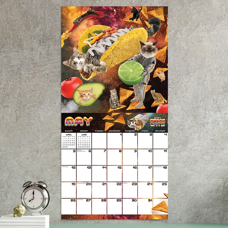 TF Publishing 2024 Space Cats Wall Calendar