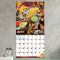 TF Publishing 2024 Space Cats Wall Calendar