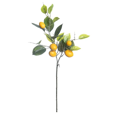 31" Lemon Branch by Ashland®