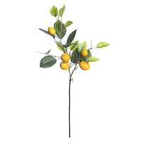 31" Lemon Branch by Ashland®