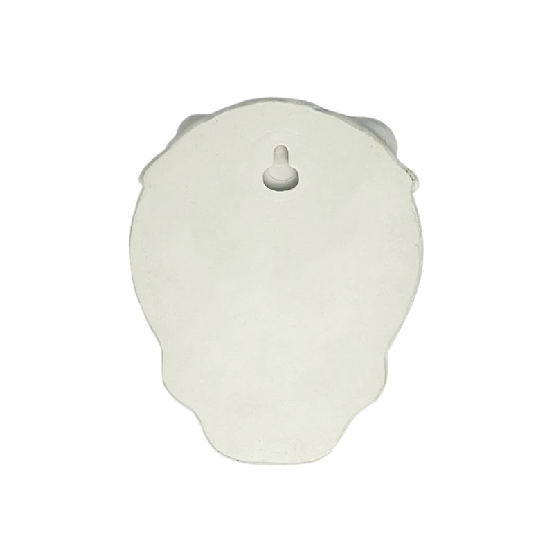 4" DIY Sugar Skull Wall Décor by Ashland®