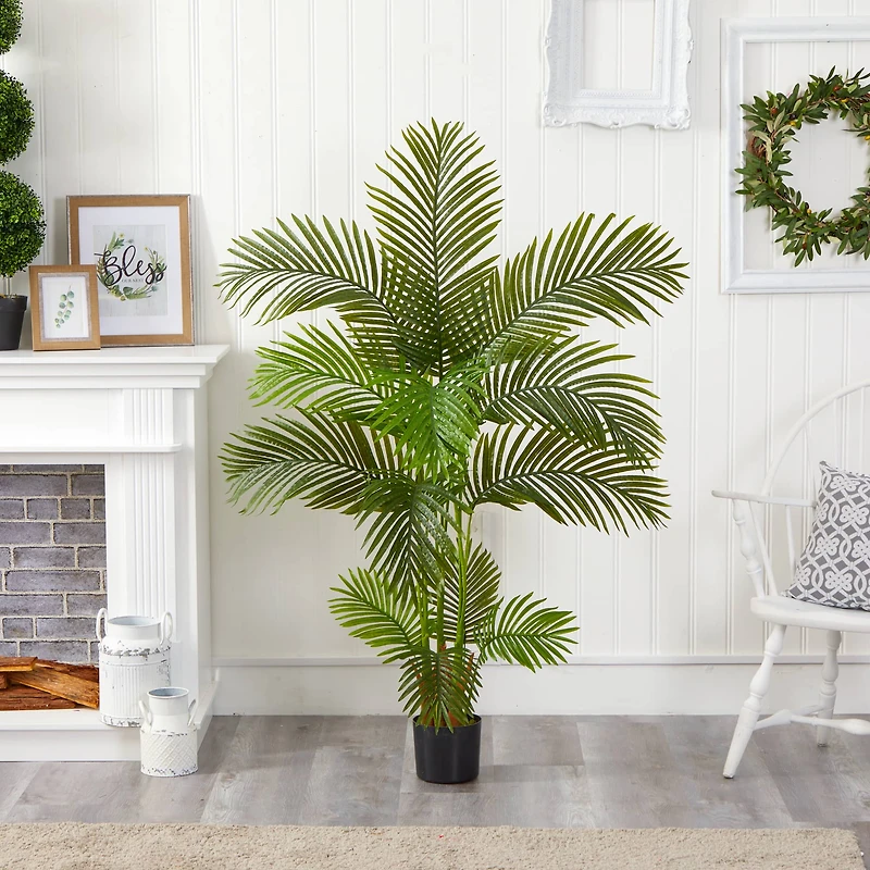 5ft. Potted Areca Palm Tree