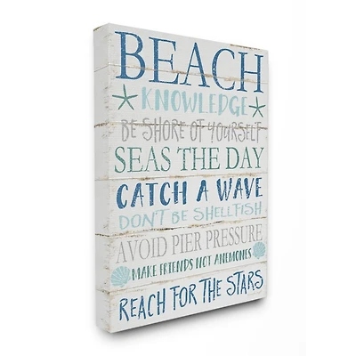 Stupell Industries Beach Knowledge Planked Wall Art