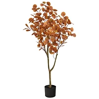 4ft. Potted Autumn Eucalyptus Tree