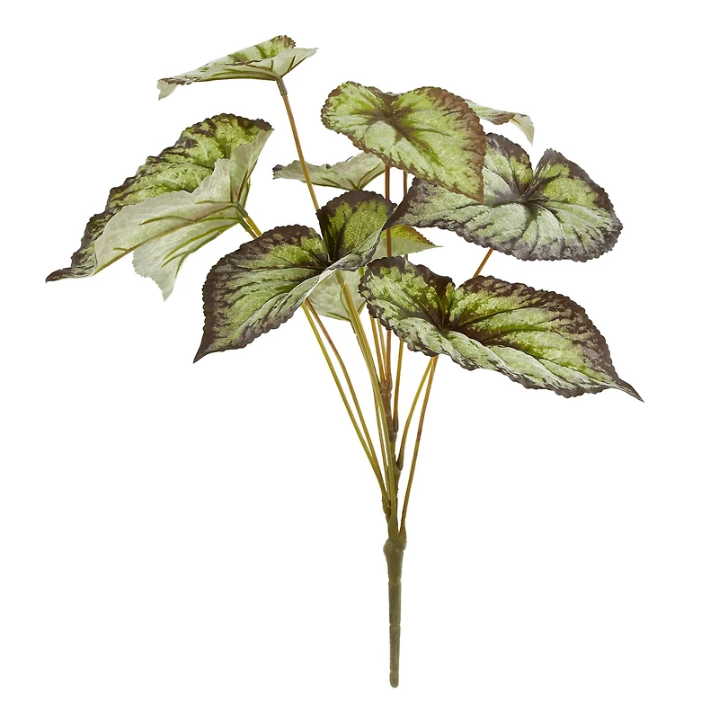 Green & Black Begonia Leaves Bush by Ashland®