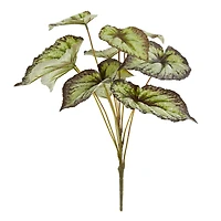 Green & Black Begonia Leaves Bush by Ashland®