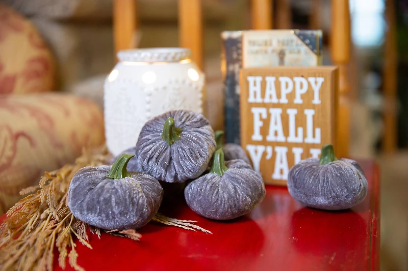 Flora Bunda® Gray Velvet Pumpkins, 6ct.