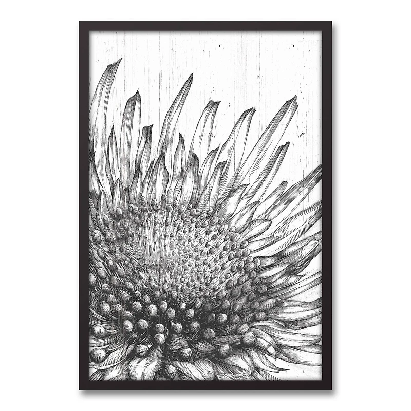 Sunflower Sketches 21.73" x 31.73" Black Framed Canvas