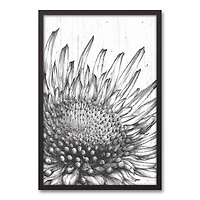 Sunflower Sketches 21.73" x 31.73" Black Framed Canvas