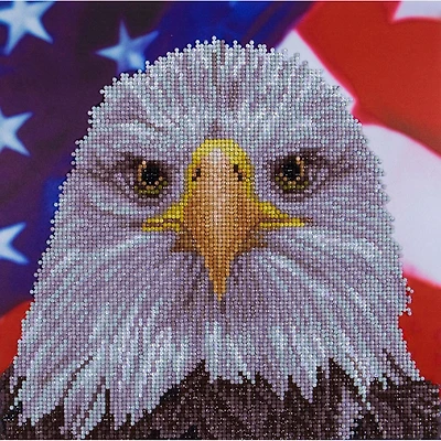 Diamond Art Intermediate Bald Eagle Paint by Number Kit