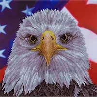 Diamond Art Intermediate Bald Eagle Paint by Number Kit