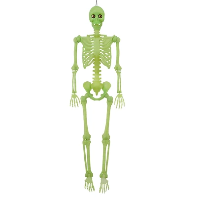 5ft. LED Glow-in-the-Dark Animated Skeleton by Ashland®
