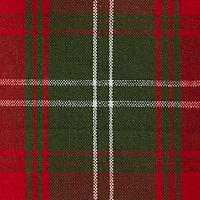 DII® Holiday Botanical Dishtowel Set