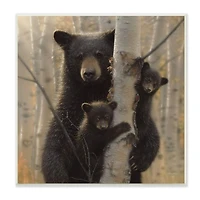 Stupell Industries Black Bear and Cubs Soft Birch Tree Forest,12" x 12"